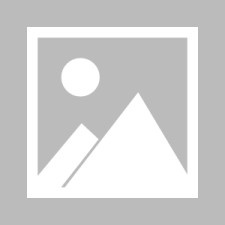 九游体育-十场名家云直播党课心得体会2022